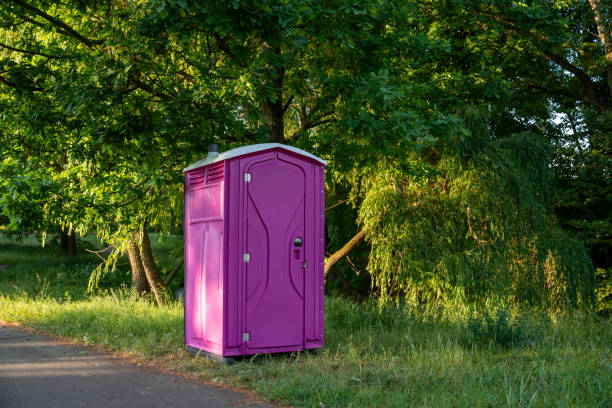 Portable Toilet Options We Offer in Franklin Farm, VA
